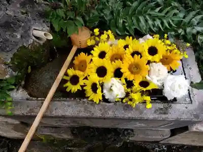 本郷氷川神社(東京都)