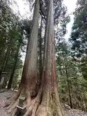 三峯神社(埼玉県)