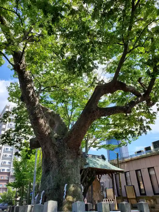 阿邪訶根神社の自然