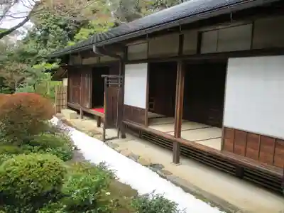 高桐院(京都府)