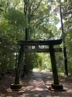 日枝神社(千葉県)