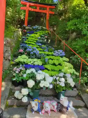 柳谷観音　楊谷寺(京都府)