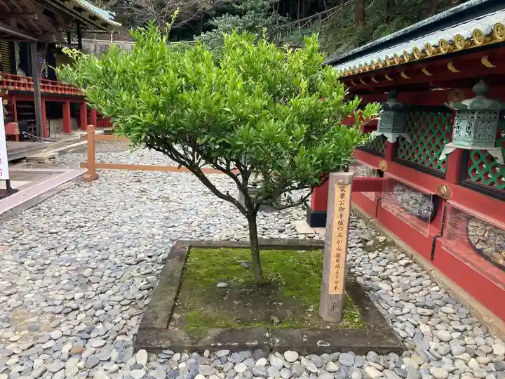 久能山東照宮のその他建物