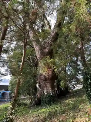 寳満宮(福岡県)