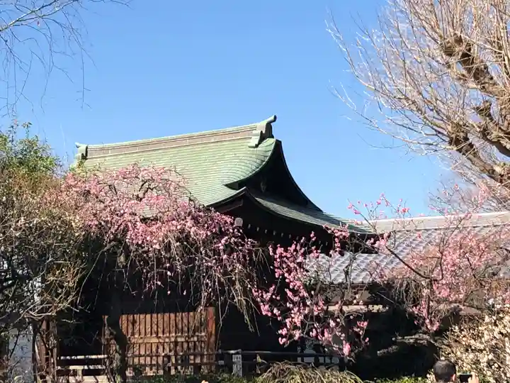 五條天神社の本殿・本堂
