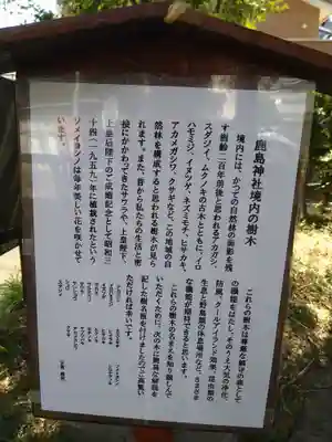 鹿島神社(千葉県)