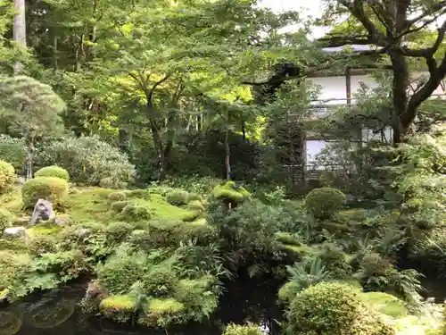 三千院門跡の庭園