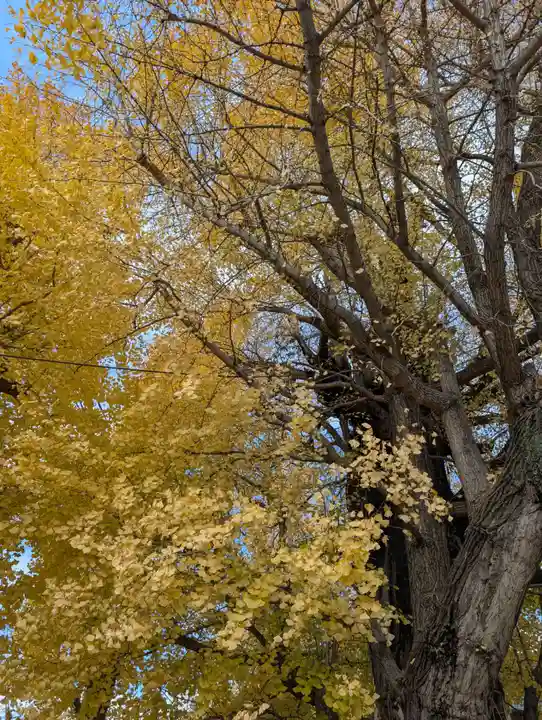 飛木稲荷神社(東京都)