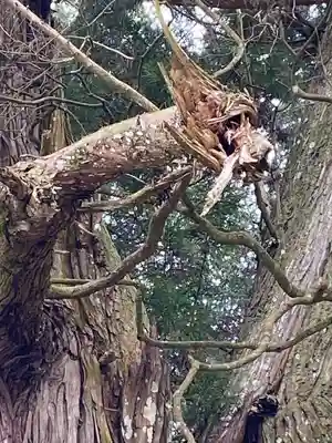 高岡神社(岡山県)