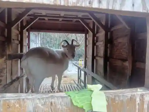 岩戸弘法弘峰寺(岐阜県)