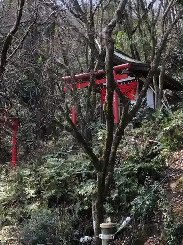 貞照寺の御朱印