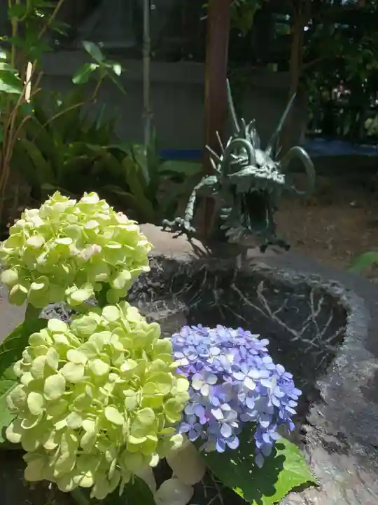 川越八幡宮(埼玉県)