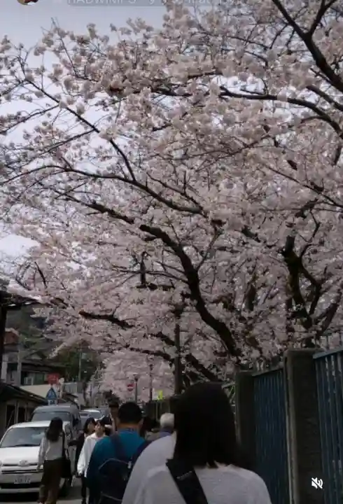 園城寺(三井寺)(滋賀県)