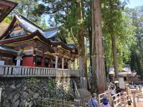 三峯神社(埼玉県)