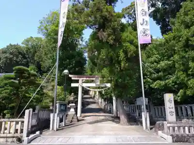 白山宮の鳥居