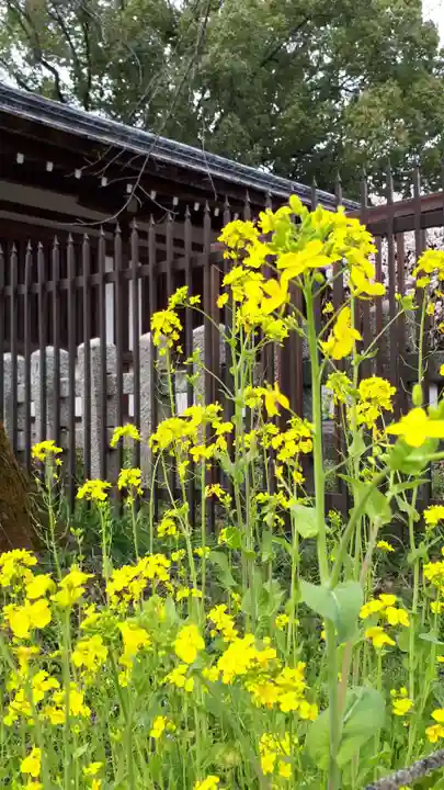 平野神社の自然