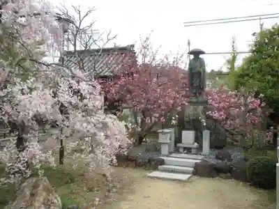 上品蓮台寺のその他建物