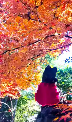 馬橋稲荷神社の狛犬