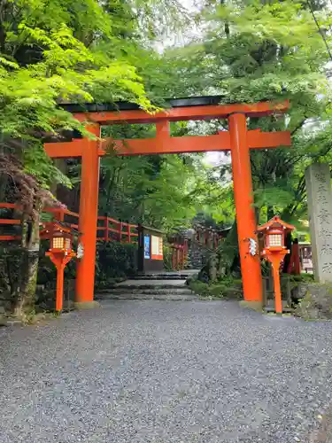 貴船神社の鳥居