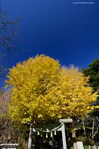 葛原岡神社の鳥居