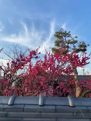 一条山宝蓮寺(愛知県)