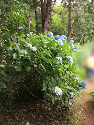 大宝八幡宮の庭園