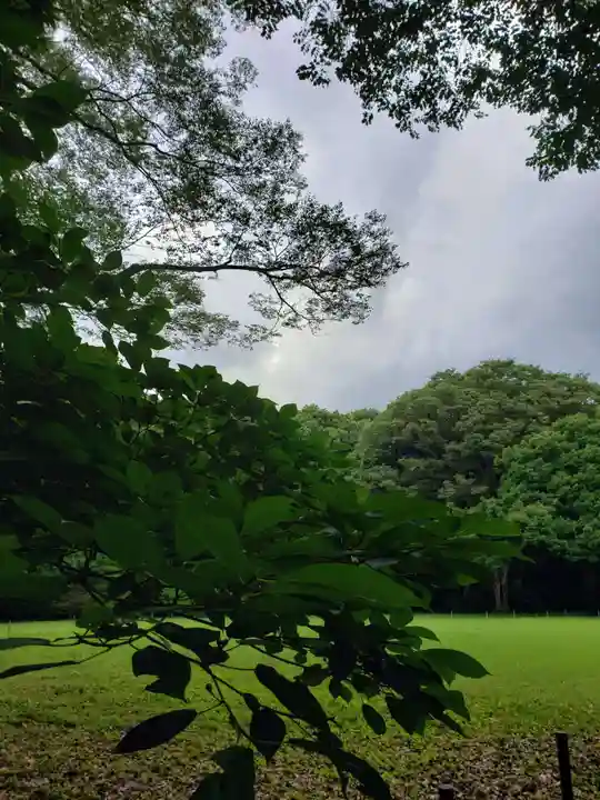 明治神宮の自然