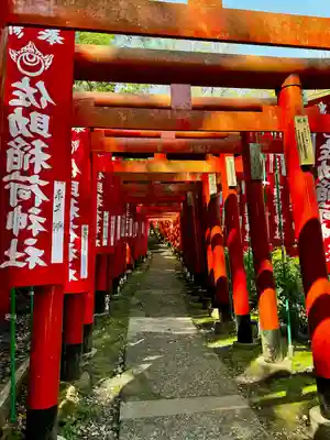 佐助稲荷神社の鳥居