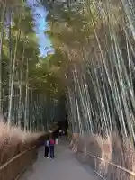 野宮神社の御朱印