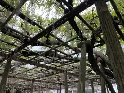 報徳二宮神社(神奈川県)