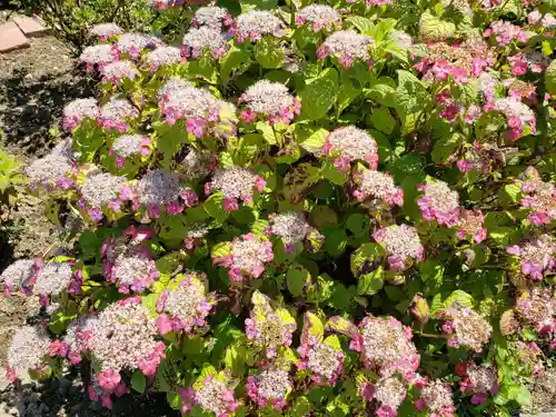 八幡神社の自然