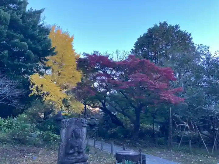 安國論寺(安国論寺)(神奈川県)