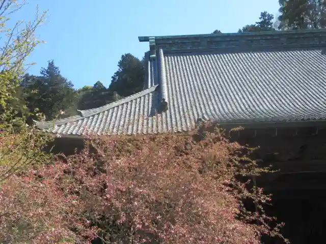 妙本寺のその他建物