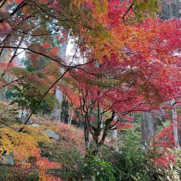 百済寺(滋賀県)