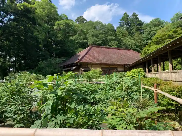 飯高寺(千葉県)