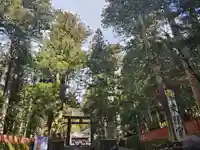 日光東照宮(栃木県)