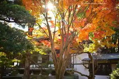 東漸寺(千葉県)