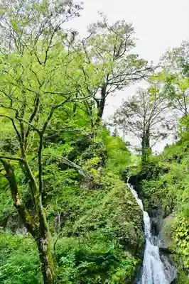 竹之高地不動社(新潟県)