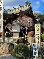 猿田彦神社の本殿