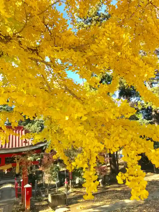 厳島神社の自然
