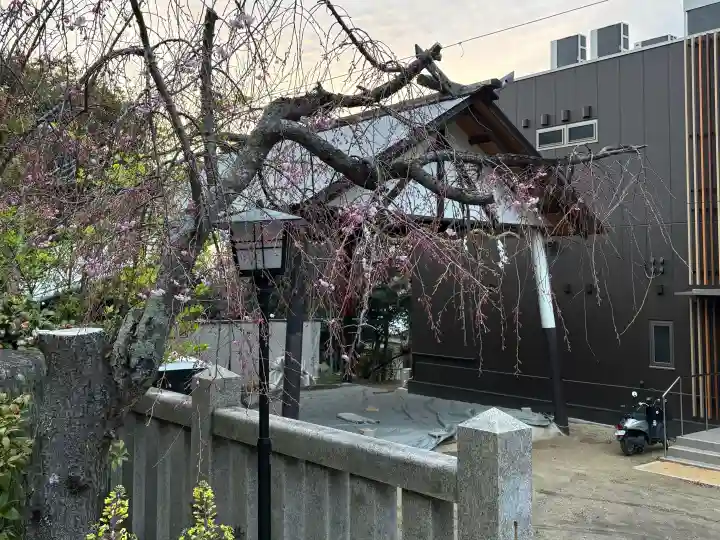 越木岩神社の{uncategorized: "未分類", other: "その他", undefined: "問題あり", building: "その他建物", grave: "お墓", sacred_gate: "鳥居", guardian: "狛犬", statue: "像", buddha: "仏像", history: "歴史", nature: "自然", garden: "庭園", animal: "動物", pagoda: "塔", temizu: "手水舎", mountain_gate: "山門・神門", sanctuary: "本殿・本堂", subordinate: "末社・摂社", art: "芸術", scenery: "景色", jizo: "地蔵", ema: "絵馬", goshuin: "御朱印", omikuji: "おみくじ", items: "授与品その他", amulet: "お守り", goshuincho: "御朱印帳", eats: "食事", festival: "お祭り", votive_dance: "神楽", shichigosan: "七五三参", wedding: "結婚式", experience: "体験その他", initially: "初詣", around: "周辺", anti_infection: "感染症対策"}