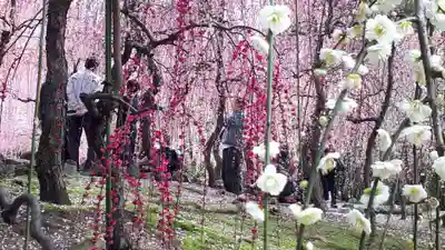 城南宮(京都府)