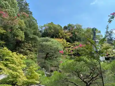 知恩院(京都府)
