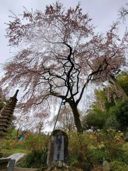 上合寺(福島県)