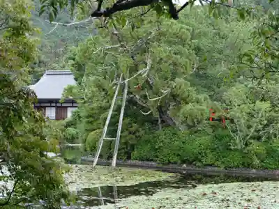 龍安寺(京都府)