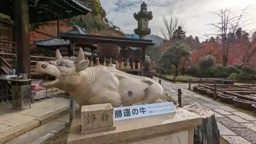 三室戸寺(京都府)