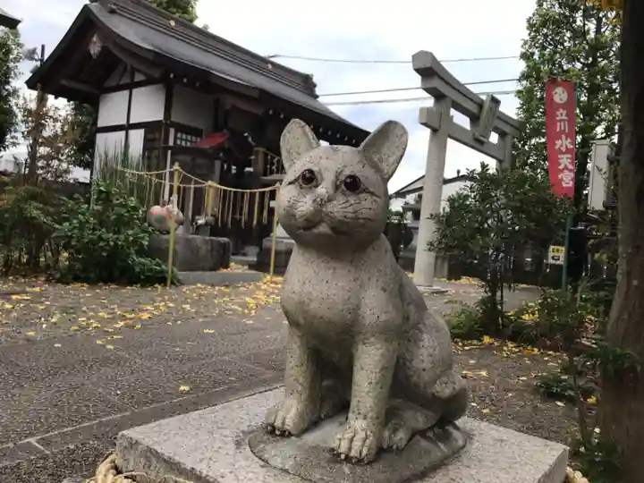 阿豆佐味天神社 立川水天宮の狛犬
