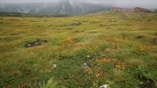雄山神社峰本社の自然