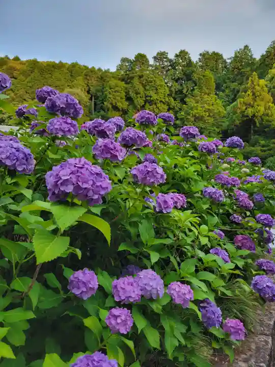 本光寺(愛知県)