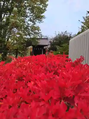 厚別神社(北海道)